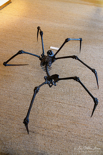 Full view of André Lassen's bronze Spider sculpture from above, with a human-like skull and rib cage at the center of eight long skeletal legs.
