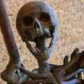 fgk-20260818-Z9-4038a-andre-lassen-spider-1991-hr-giger-museum-skull-detail.jpg