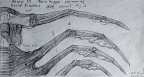 Alien III Face Hugger Swimming Detail — Drawing 101