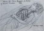 Alien III Face Hugger in Ripley — Drawing 104