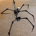 andre-lassen-spider-1991-hr-giger-museum-overhead_Z9-4031a.jpg
