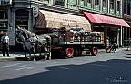 Heineken beer delivery by horse and carriage at Café Zwart in Amsterdam (1965)