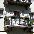 _Z9-1351.jpg