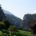 fgk-20260813-Z9-0443a-gorges-borgne-bramois-vineyards-valais.jpg