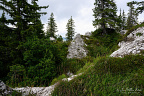 Lapiaz of Truex above Leysin