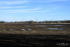 Waterlogged Field with Wind Turbines