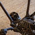 fgk-20260818-Z9-4036a-andre-lassen-spider-1991-hr-giger-museum-torso-detail.jpg