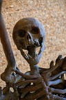 Spider (1991) by André Lassen