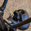 fgk-20260818-Z9-4040a-andre-lassen-spider-1991-hr-giger-museum-skull-side-detail.jpg