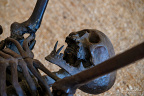 Spider (1991) by André Lassen