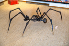 Spider (1991) by André Lassen
