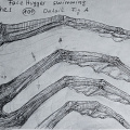 hr-giger-alien-3-facehugger-swimming-detail-101-gruyeres_Z9-3599a.jpg
