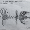 hr-giger-alien-3-facehugger-swimming-drawing-100-gruyeres_Z9-3601a.jpg